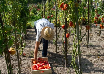 AGRO-SUR