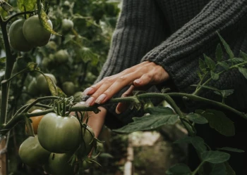 AGRO-SUR