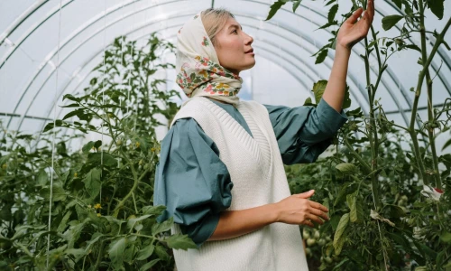 10 sposobów na zmniejszenie rachunków w cieplarniach