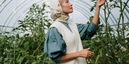 10 sposobów na zmniejszenie rachunków w cieplarniach