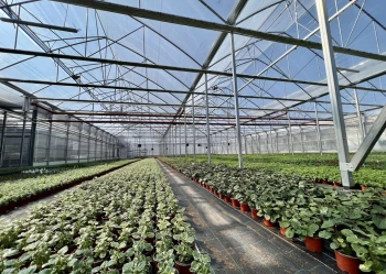 blok foliowy srodek 101