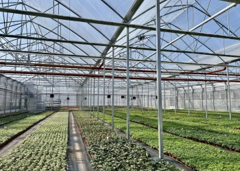 blok foliowy srodek100