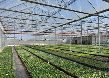 blok foliowy w srodku