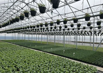 Blok foliowy wnetrze10