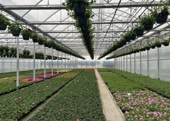 blok foliowy wnetrze3