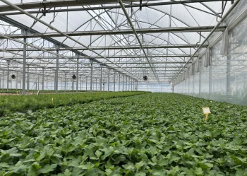 Blok foliowy wnetrzne 3