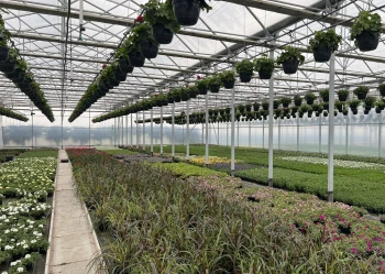 blok wnetrze kolejne 4