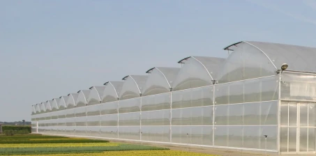 Jak zbudować tunel foliowy?