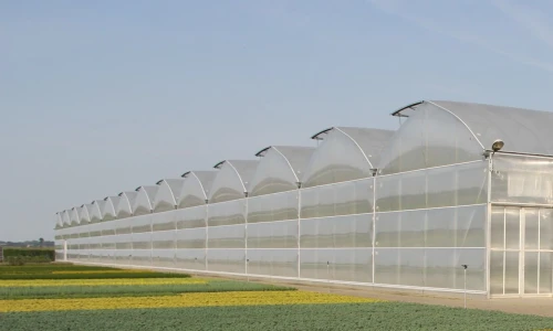 Jak zbudować tunel foliowy?