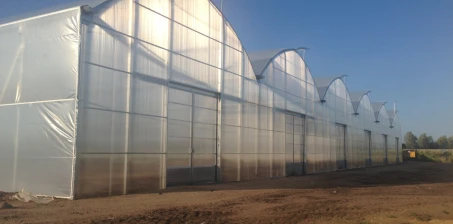 Co wybrać - szklarnia czy tunel foliowy?