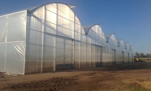 Co wybrać - szklarnia czy tunel foliowy?