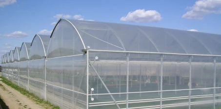 Jaka folia na tunel będzie najlepsza?