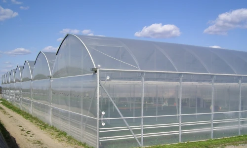 Jaka folia na tunel będzie najlepsza?