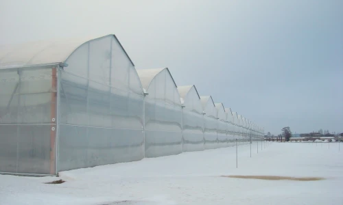 Wpływ bloków foliowych na jakość i wydajność upraw