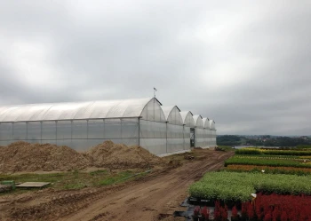 Bloki foliowe, w których znajduje się szkółka drzew i krzewów Cyrzan