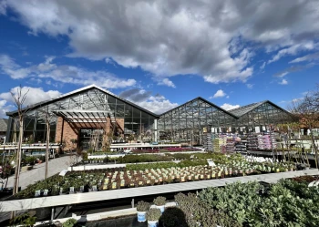 Centra na bazie szklarni