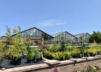 Centra na bazie szklarni