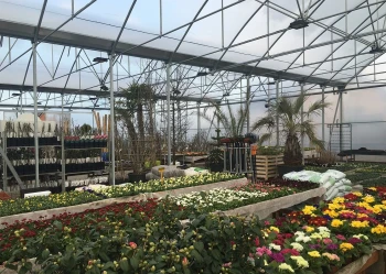 Centrum ogrodnicze koło Gdyni zbudowane przez AGRO-SUR