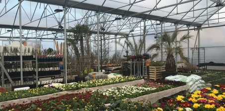 Garden centre near Gdynia