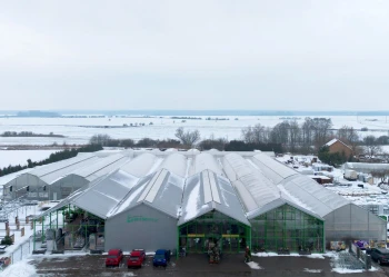 Centra na bazie szklarni