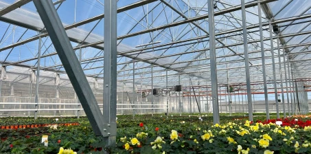 Blok foliowy z częścią magazynową – realizacja dla zakładu ogrodniczego