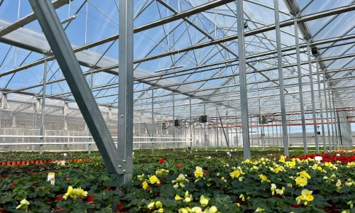 Blok foliowy z częścią magazynową – realizacja dla zakładu ogrodniczego