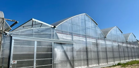 Greenhouse with Storage Area for a Horticultural Facility