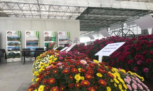 Dni Otwarte w Gospodarstwie Ogrodniczym Pana Pawła Pychyńskiego w Strojcu