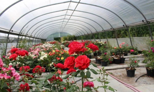 O czym informują oznaczenia folii na tunel?