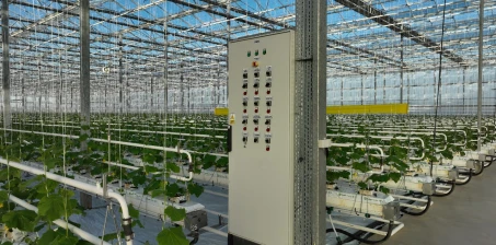 Jak skutecznie ogrzewać szklarnię?