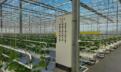 Jak skutecznie ogrzewać szklarnię?