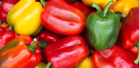 Jak uprawiać paprykę w tunelu foliowym?