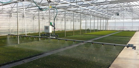 Sposoby nawadniania w tunelu foliowym