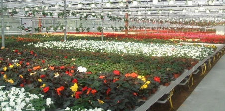 Jakie są rodzaje stołów do szklarni?