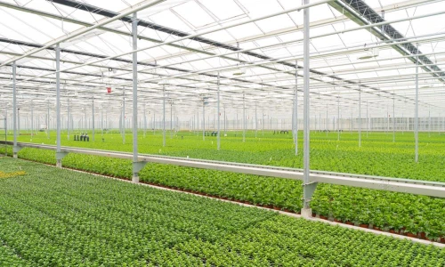 Co robić aby Twoja szklarnia pozostała jak nowa przez lata?