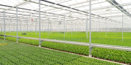 Co robić aby Twoja szklarnia pozostała jak nowa przez lata?