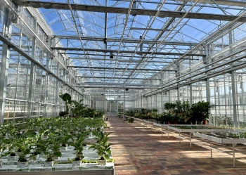 Centra na bazie szklarni