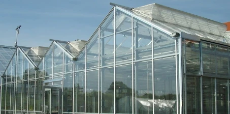 Optymalizacja mikroklimatu w szklarni przemysłowej: kluczowe technologie i rozwiązania