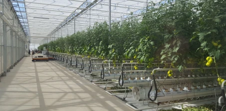 Jak zbudować szklarnię?