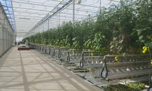 Jak zbudować szklarnię?