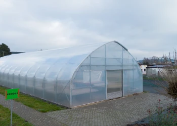 Tunele wolnostojące