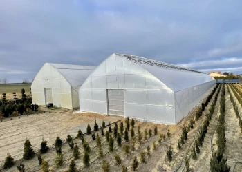 Tunele wolnostojące