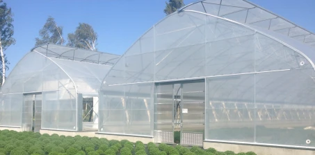 Gdzie postawić tunel ogrodniczy?