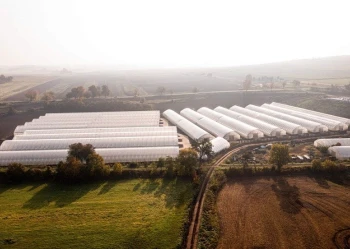 Tunele wolnostojące