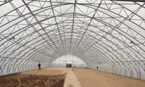 Jak zabezpieczyć rośliny w tunelu foliowym?