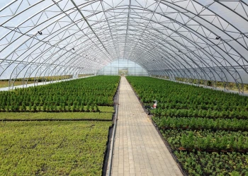 Tunele szerokonawowe