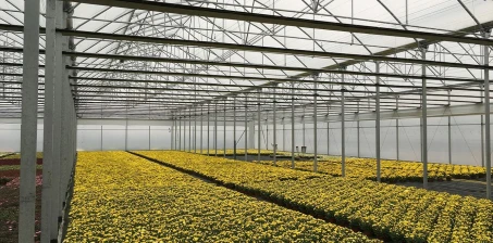 Fóliový blok s povrchom 6,144,00 m2