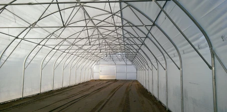 Jaka ziemia powinna być w szklarni i tunelu foliowym?