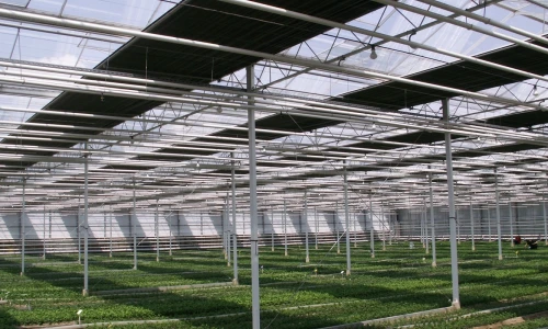 Zasłony cieniująco-termoizolacyjne. Dlaczego warto?