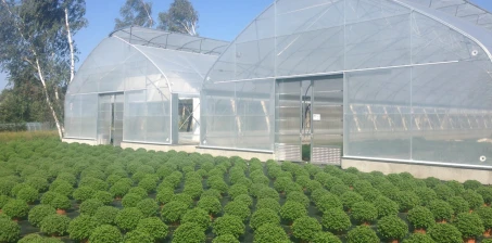 Tunel foliowy AGRO-SUR – inwestycja, która się opłaca!